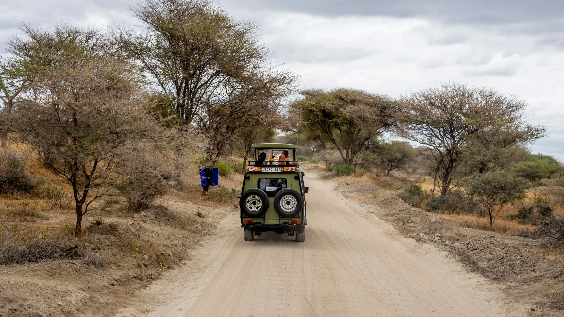 Safari vehicle luxury game drive in Serengeti, Tanzania