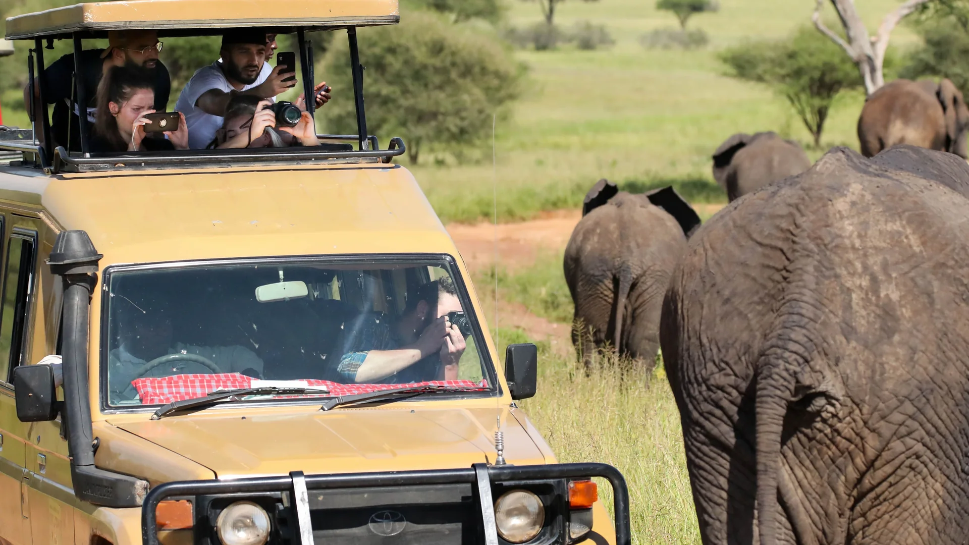 Safari vehicle luxury game drive in Serengeti, Tanzania