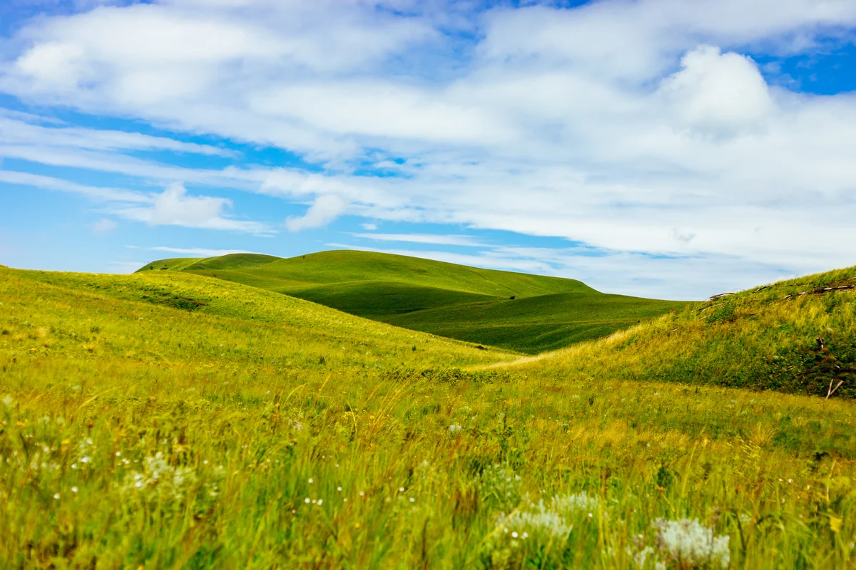 Rolling green highland grasslands beneath clouds in Kitulo National Park, Tanzania