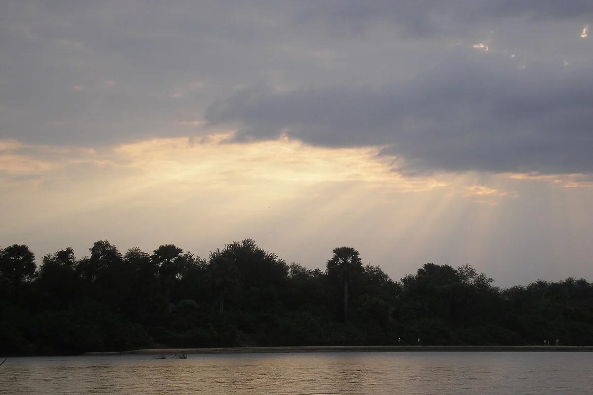 Rufiji River and riverbank vegetation in the Selous landscape, Tanzania