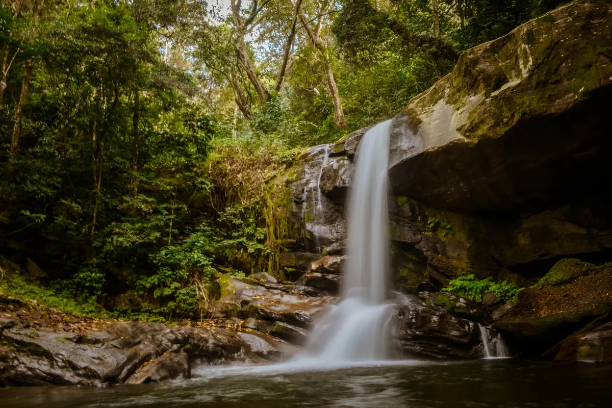 Waterfall cascading over rocks beside forest on the Sanje trail in Udzungwa Mountains National Park