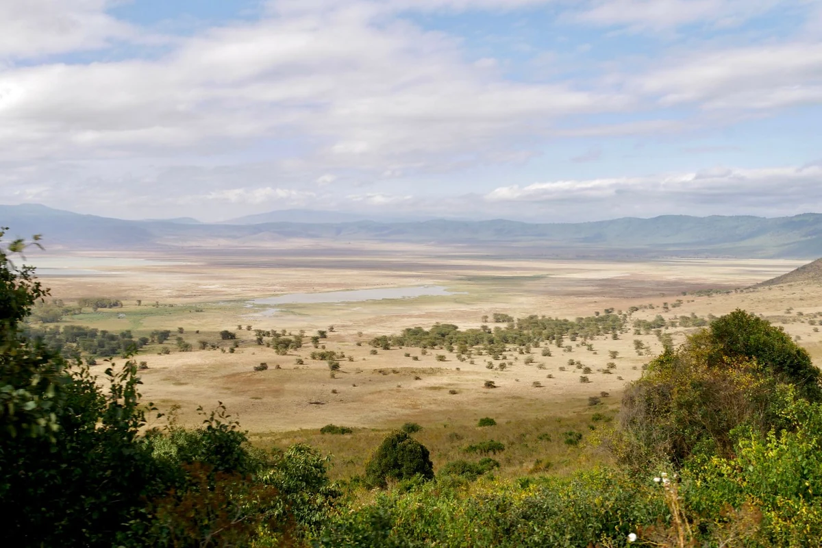 Panoramic view across the Ngorongoro Crater basin in Tanzania.